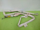 Airbag de la puerta delantera