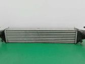 Intercooler radiator
