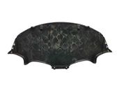Placa protectora/protector antisalpicaduras motor