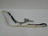 Airbag de la puerta delantera