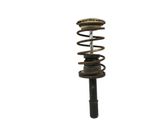 Amortiguador delantero con muelle espiral