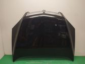 Motorhaube