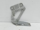 Bisagras del capó/tapa del motor