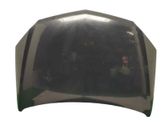 Engine bonnet/hood