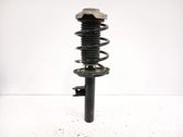 Amortiguador delantero con muelle espiral