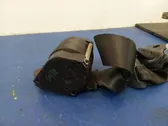 Cinturón trasero