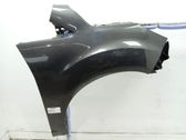 Guardabarro