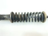 Stoßdämpfer hinten