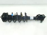 Front shock absorber with coil spring