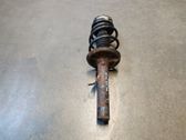 Front shock absorber/damper