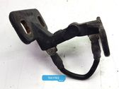 Tailgate/trunk/boot hinge