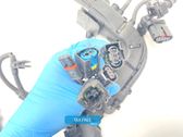 Faisceau de câblage pour moteur