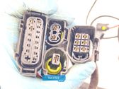 Faisceau de câblage pour moteur