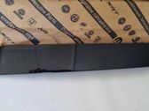 Front door trim (molding)