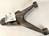 Front lower control arm/wishbone