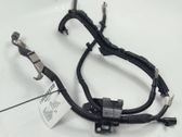 Other wiring loom