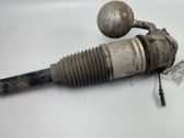Rear shock absorber with coil spring