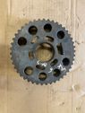 Crankshaft gear