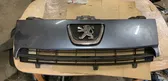 Front bumper upper radiator grill