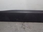 Listón embellecedor de la puerta delantera (moldura)