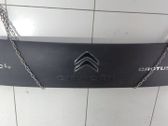 Rear/tail light trim molding