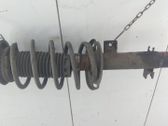 Front shock absorber with coil spring