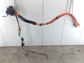 Hybrid / electric car battery
