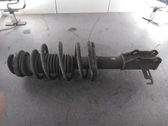 Front shock absorber with coil spring