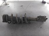 Front shock absorber with coil spring