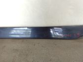 Front door trim (molding)