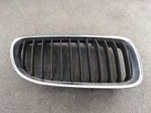 Atrapa chłodnicy / Grill