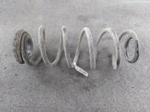 Rear coil spring