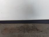 Listón embellecedor de la puerta delantera (moldura)