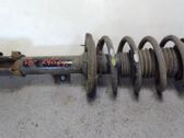 Amortiguador delantero con muelle espiral