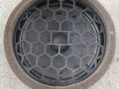 Altavoz de la puerta delantera