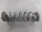 Feder hinten