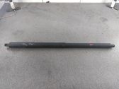 Tailgate/trunk strut/damper