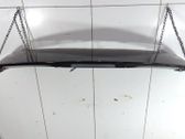 Tailgate/trunk spoiler