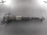 Rear shock absorber/damper