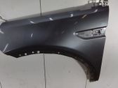 Fender