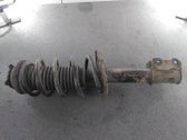 Amortiguador delantero con muelle espiral