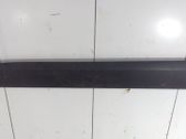 Moulure de porte avant