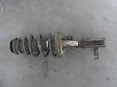 Front shock absorber with coil spring