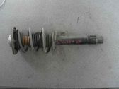 Front shock absorber with coil spring