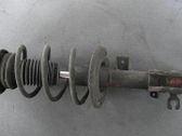 Front shock absorber with coil spring