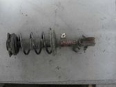 Front shock absorber with coil spring