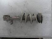 Front shock absorber with coil spring