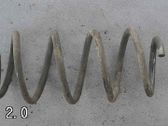 Front coil spring