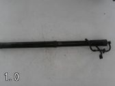Tailgate/trunk strut/damper