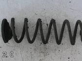 Rear coil spring